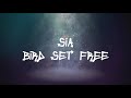 Sia - Bird Set Free (Lyrics)