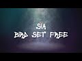 Sia - Bird Set Free (Lyrics Video) 