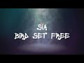 Sia - Bird Set Free (Lyrics Video) 