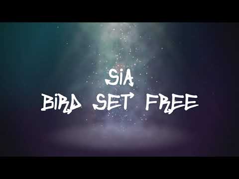 Sia - Bird Set Free (Lyrics)