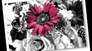 i miss you - Simple Plan Lyrics ( Übersetzung ).wmv