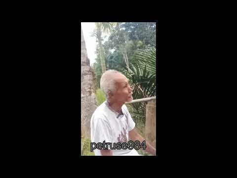 pantun kanayatn 2, dayak ahe