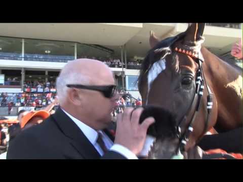 ABASHIRI AND LEGAL EAGLE RULE WITH MANY SUPPORTING ACTS