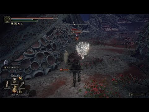 ELDEN RING - Dealing with Millicent invasion early