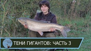 На что клюет амур в октябре