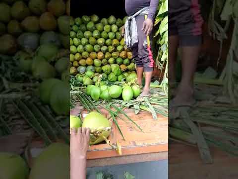 Solid whole green coconut, packaging size: truck lodding, co...