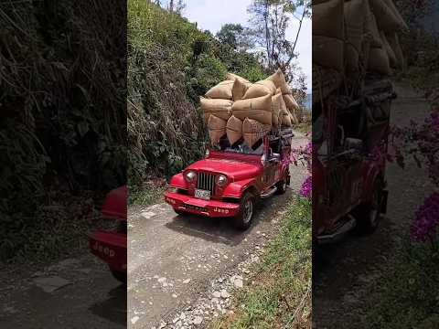 espectacular viaje de café en este bello jeep j6,  desde Manzanares Caldas #campo #cafe #jeep