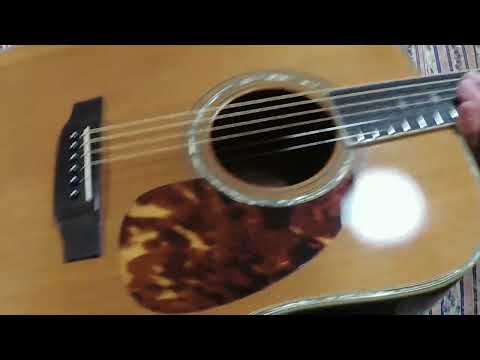 1981 Yairi D 35 YW-500P - Natural+Hard Case image 26