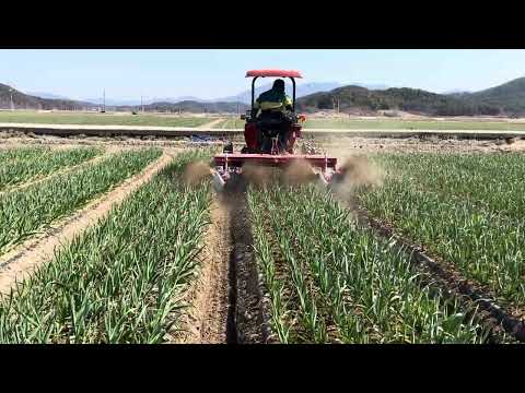 구보다 승용관리기 NR23 마늘 복토작업