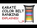 Karate BELT Ranking System Explained In 8 Minutes