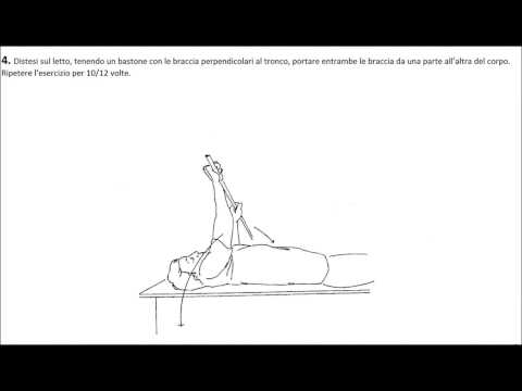 Cipolle con giunti di zucchero Piano sagittale della colonna vertebrale toracica
