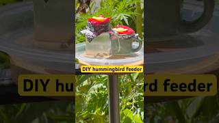 DIY easy hummingbird feeder. I broke my feeder while refilling it. #diy #hummingbirdfeeder
