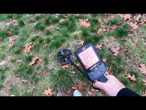 Minelab Equinox 900 vs. Minelab Manticore Tiefentest