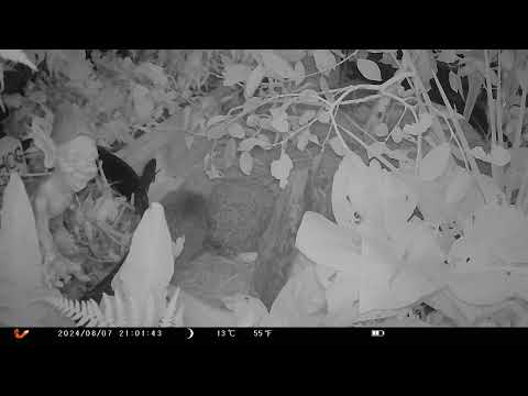 Now now you two 🦔🦔 that's a snuff of that 🦔🦔🙈🙈(1)