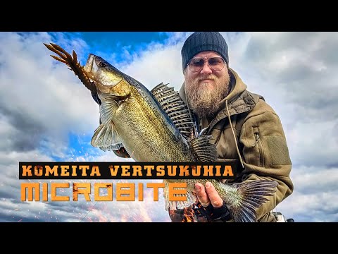 Pystynarulla kuhilaita / Veneprojekti etenee