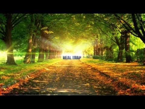 PAPER DIAMOND X LOUDPVCK - WYLIN