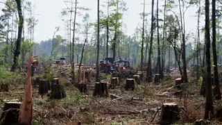 preview picture of video 'SoLa: Louisiana Water Stories Trailer'