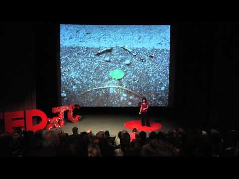 TEDxTC - Terrie Rose - From the Baby's Point Of View