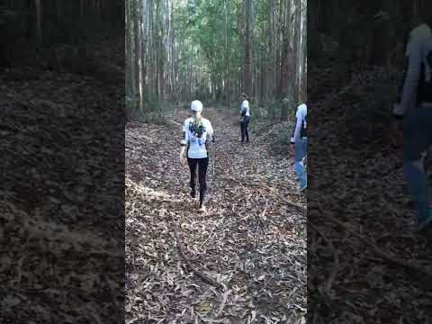 caminhando - Pé na Trilha Tejupá/SP