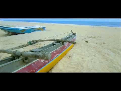 Akkaraipattu Beach | Vlog 8 | #BLUE_MAGPIE