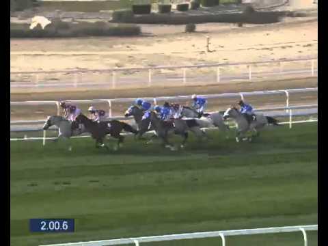 HH The Emirs Trophy 2014