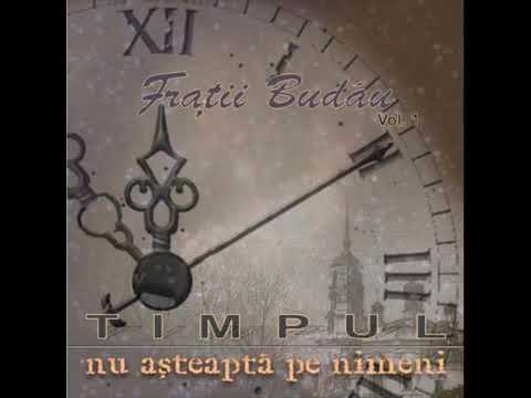 Timpul nu asteapta pe nimeni - Fratii Budau vol. 1