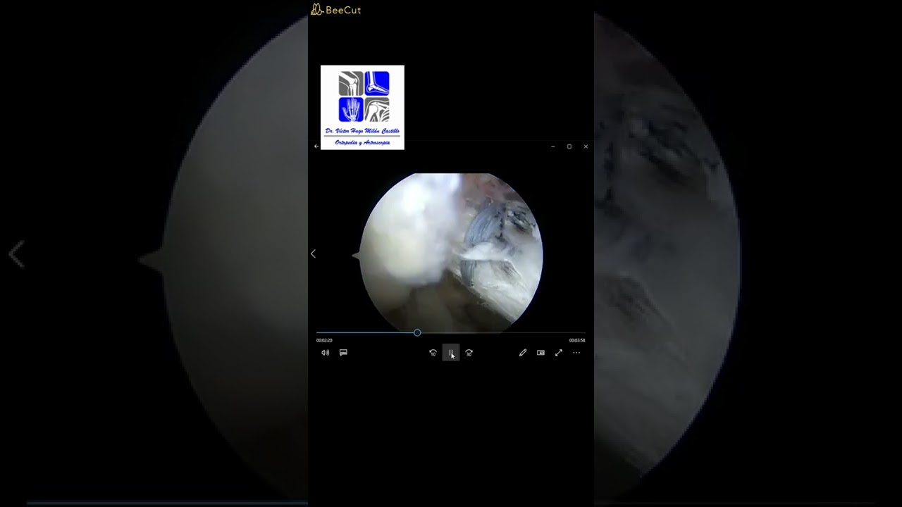 Víctor Hugo Milán Castillo-7