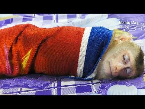 Mori So Cool At Night!! Mom Take Good Care Mori By Cover Towel