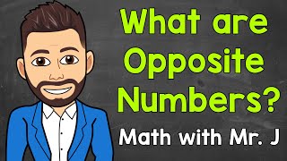 What are Opposite Numbers? | Math with Mr. J