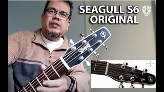 Video thumbnail for SEAGULL S6 ORIGINAL Acoustic Guitar Demo Review | Edwin-E by Edwin-E