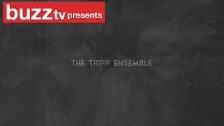 Buzz Acoustics 'The Tripp Ensemble'