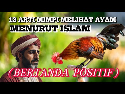 12 Meanings of Dreams About Seeing a Chicken | The Meaning of Dreams According to Islam. #dreamme...