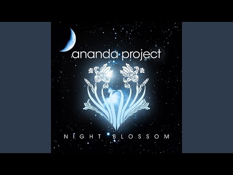 Let Love Fly (Early Winter Mix)