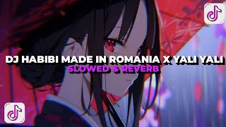 Download lagu DJ HABIBI MADE IN ROMANIA X YALI YALI (Slowed & Reverb) Sound Viral Tiktok😋🤙🏻 mp3