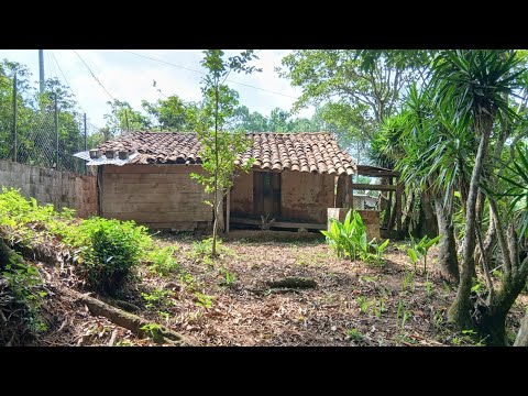 🥳VENDO BONITA PROPIEDAD EN LA PALMA CHALATENANGO CUENTA CON LOS SERVICIOS BÁSICOS 🌳