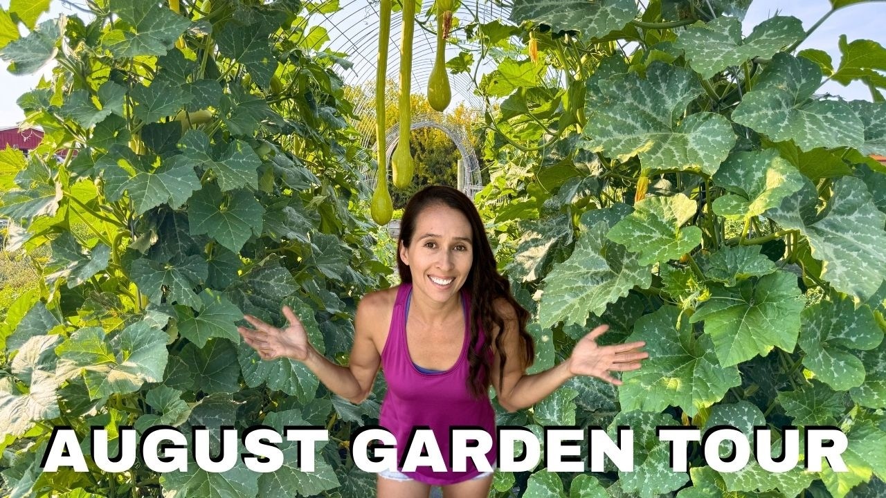 Fall Harvest Festival & Farmstand