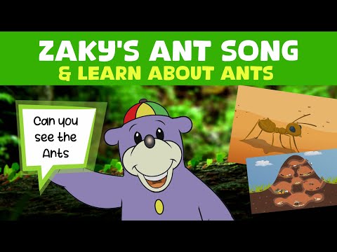 Zaky's Ant Song 🐜 | Learn About Ants for Kids | Islamic Fun & Facts!