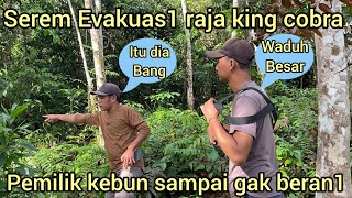 Download lagu MENDEBARK4N DETIK-DETIK EVAKUAS1 ULAR KING COBRA DI KEBUN KARET,WARGA DESA SEMUA PADA IKUT MELIHAT mp3