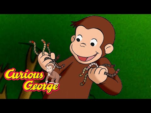 A Home for the Worms! 🐵 Curious George 🐵 Kids Cartoon 🐵 Kids Movies