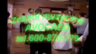 THE SHORTS - JE SUIS TU ES / AVOCADO