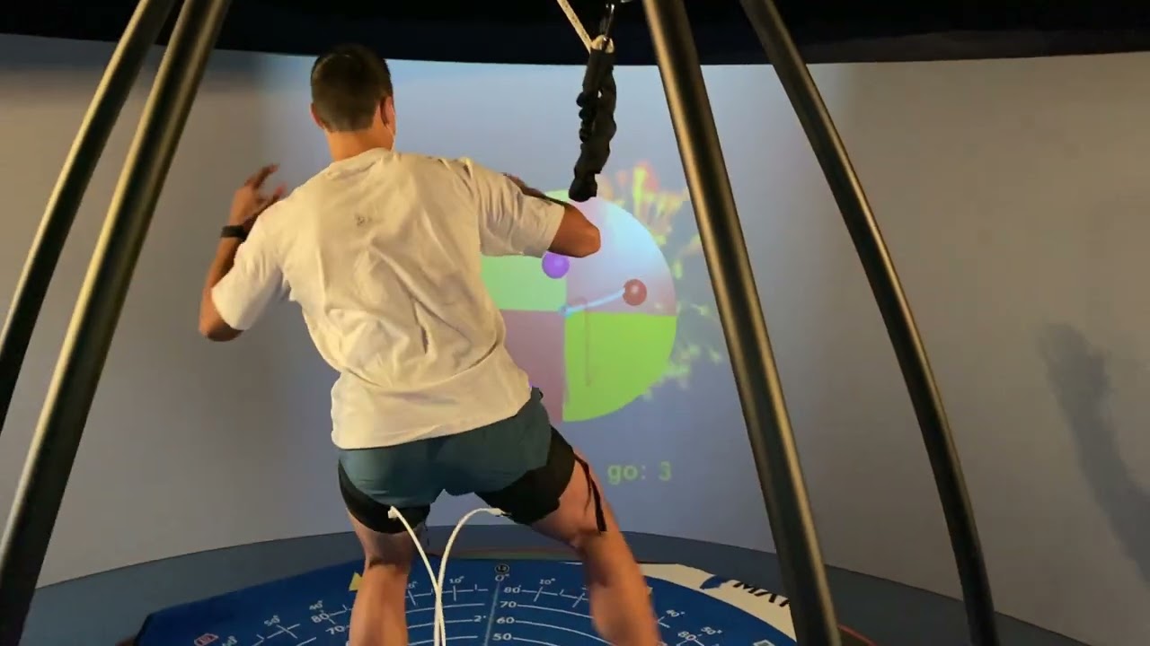 Dynamic Postural Stability (DPS)