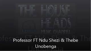 professor Ft ndu shezi and Thebe   Unobenga