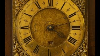 Counting down to Harrison's Garden: Trust New Art at Nostell