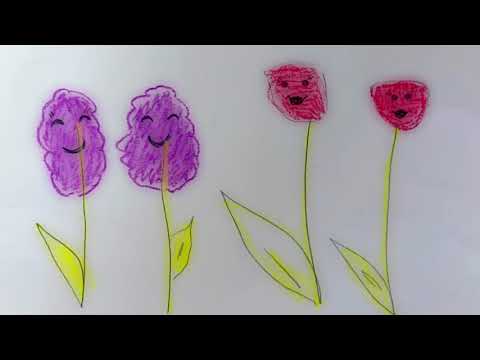 I fiori della piccola Ida