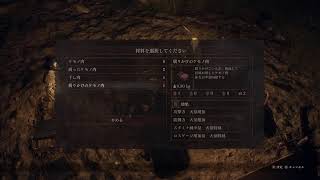 復活配信まったく覚えてないドラゴンズドグマ２(実況)PS5配信＃７