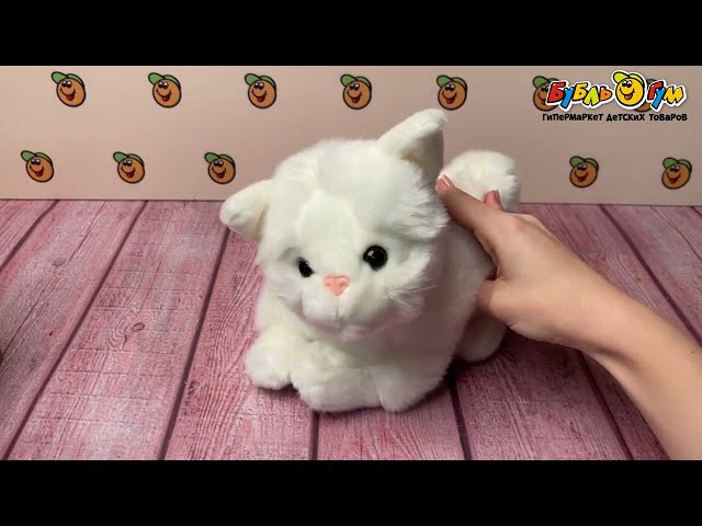 Игрушка интерактивная Кот мяукает и двигается в ассортименте - видео
