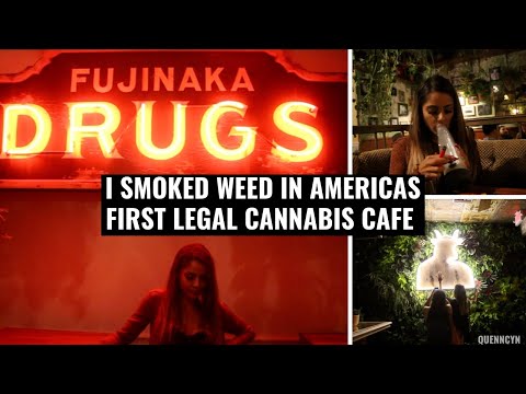 download lagu mp3 mp4 Hollywood Cafe Gravette, download lagu Hollywood Cafe Gravette gratis, unduh video klip Hollywood Cafe Gravette