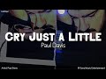 Cry Just a Little |  by Paul Davis | KeiRGee Lyrics Video