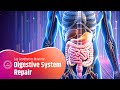 Healing Frequencies For Gut Health Digestive System Repair Say Goodbye To Bloating