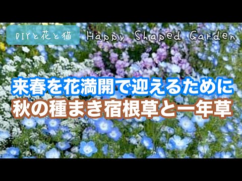  9月に蒔く種は何でしょうか？ 10種類の野菜と花が旬を迎えます！  庭園